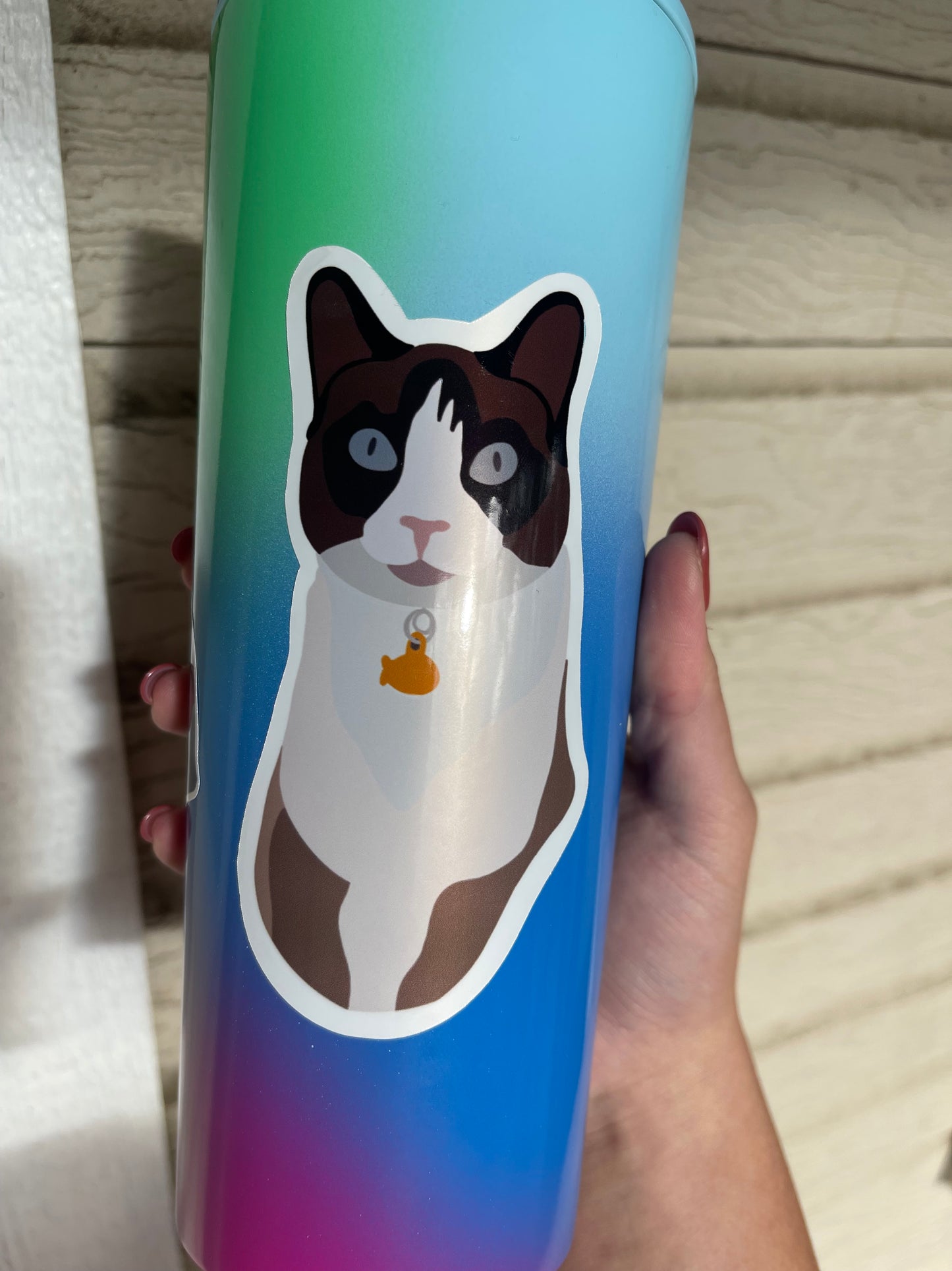 Custom Pet Stickers (Pack of 3)