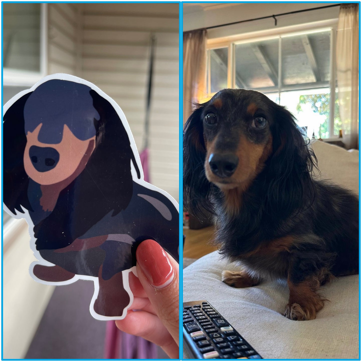 Custom Pet Stickers (Pack of 3)